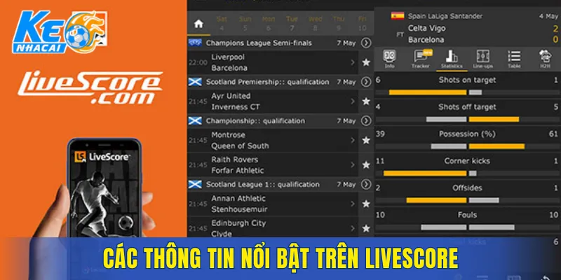 Các thông tin nổi bật trên livescore