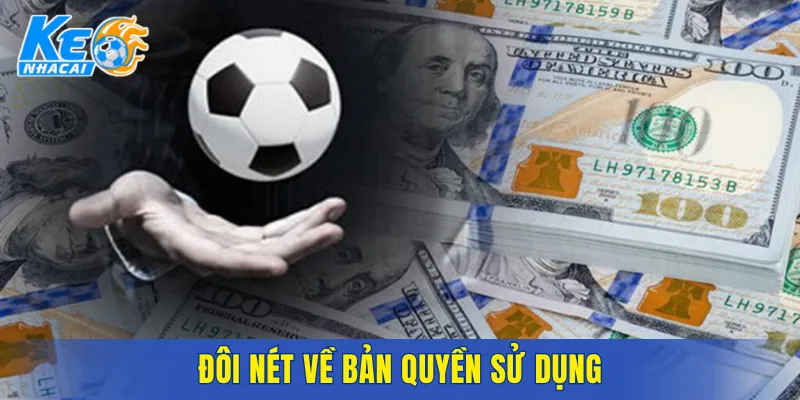 Đôi nét về bản quyền sử dụng
