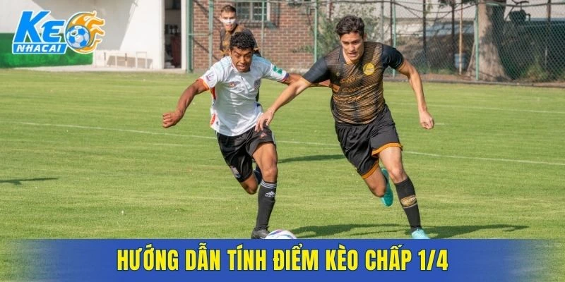 Hướng dẫn tính điểm kèo chấp 1/4