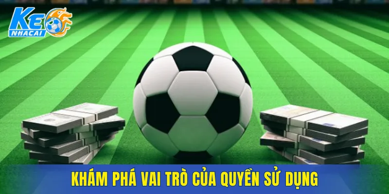 Khám phá vai trò của quyền sử dụng