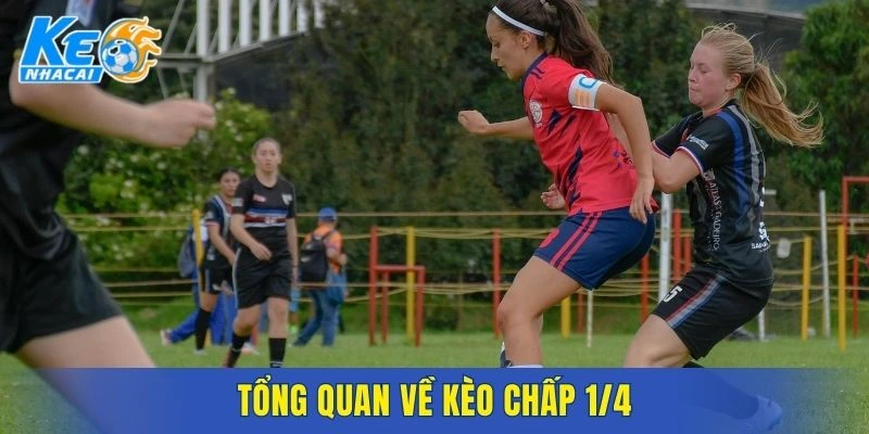 Tổng quan về kèo chấp 1/4
