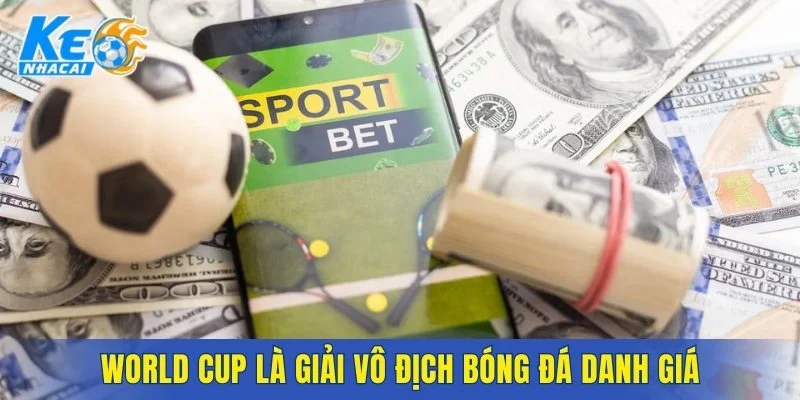 World Cup là giải vô địch bóng đá danh giá